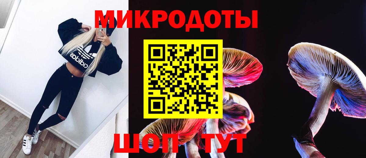 Сальск  Псилоцибиновые грибы Psilocybe  Вход с VPN 